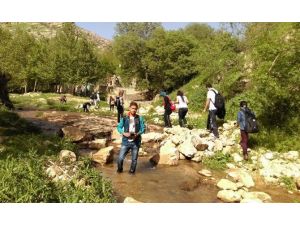 Çatışmasızlık Ortamı Doğaseverleri Dağlara Çıkardı