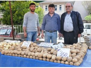 Patatesin Fiyatı Üreticiyi Zor Durumda Bıraktı