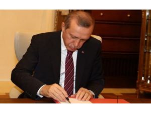 3 Kanunu Onayladı