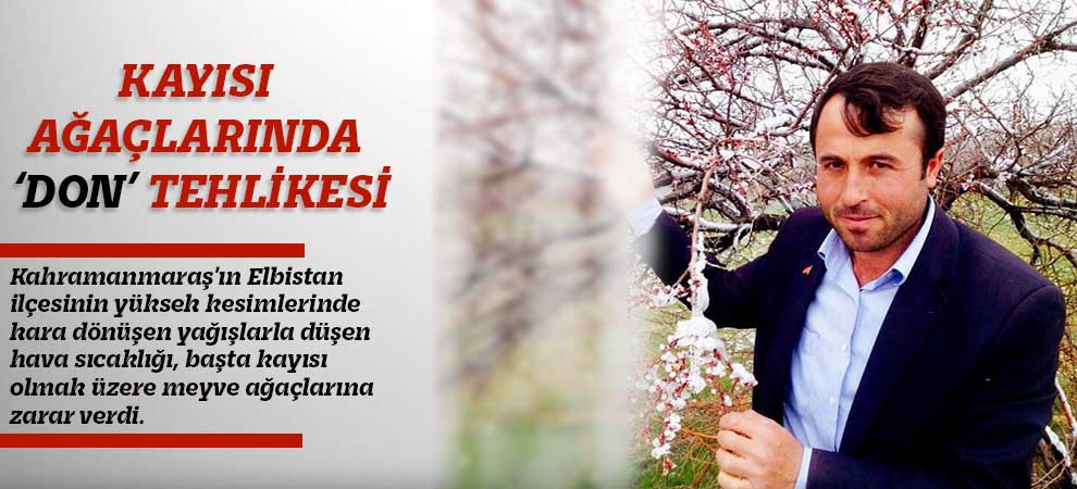 Kayısı Ağaçlarında ‘Don’ Tehlikesi