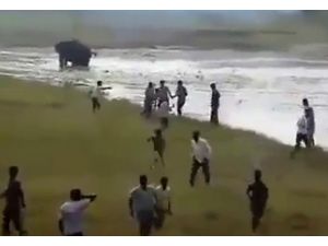 Filin İntikamı Acı Oldu