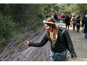 Aya Yorgi’de Dilek İzdihamı