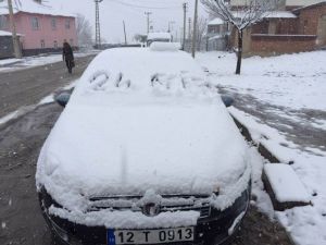 Bingöl Kara Teslim