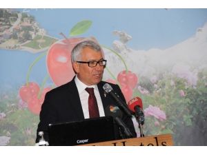 Ekonomi Bakan Yardımcısı Adnan Yıldırım: