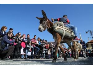 Çocuklar Eşeğe Ters Binerek Yarıştı