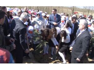 Savaşın Çocuklarından Barış İçin Fidan