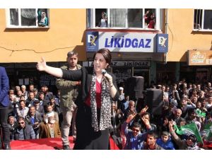 Hdp Iğdır Milletvekili Pervin Buldan: