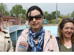 Belediyeye 84 Köpek İçin 184 Bin Lira Ceza Kesildi