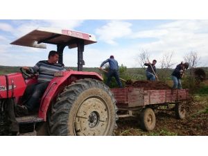 Çiftçi Eskiye Dönüyor