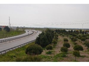 Bu Bölgeye Yatırım Yapan Kazanacak