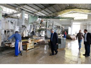 Isparta’nın Taşı Sınırları Aştı