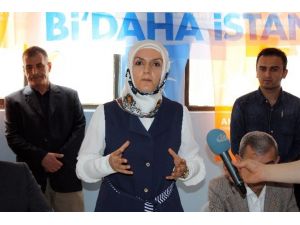 Üniversiteye Gidemiyordu, Şimdi Meclise Yürüyor