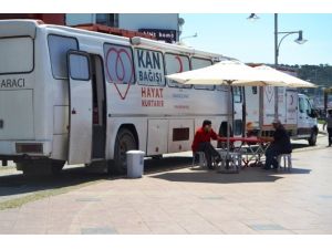 Kan Bağışla Sağlığını Kazan