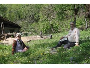 Yaşlı Çiftin Yol İsteği