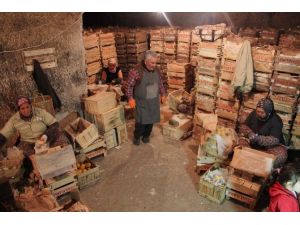 (Özel Haber) Akdeniz Limonları Kapadokya’da Saklanıyor