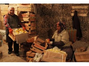 Limonlar Kapadokya’da Böyle Saklanıyor