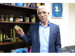 Marmarabirlik Türk Hava Yolları İle Dünyaya Uçuyor