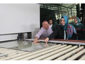 Ak Parti’li Sena Nur Çelik’ten Kültür Ve Sanat Vurgusu