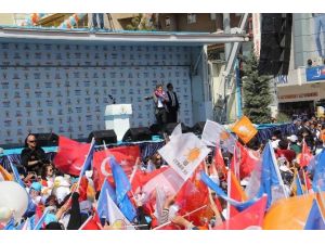 Başbakan Ahmet Davutoğlu: