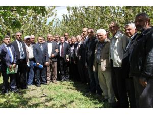 Bakanlık Yetkilileri Tarımsal Afet Bölgesinde İncelemede Bulundu