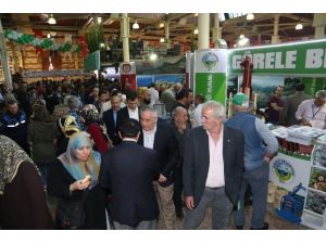 Giresun Günleri Büyük Coşkuyla Başladı