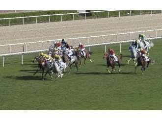 53. Tbmm Koşusu’nu Karaüzüm Kazandı