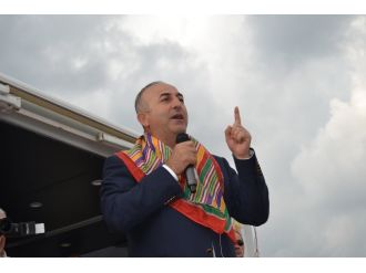 Bunlara İki Tane Koyunu Versen Güdemezler