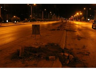 Tramvay Hattı İçin Yüzlerce Ağaç Kesildi
