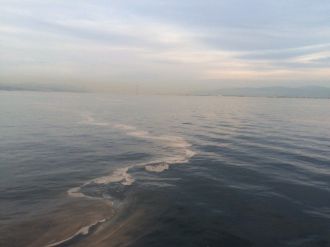 Denizde Kahverengi Tabaka Yalova’da Da Ortaya Çıktı