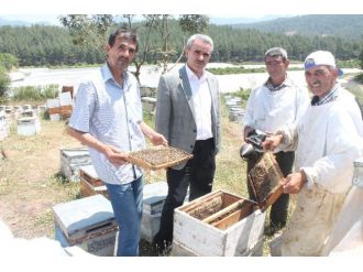 Bal Üreticileri Yeni Bir Göç Yolunda
