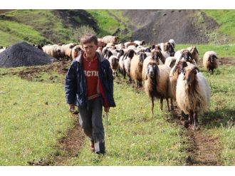 Göçerler, Farşin, Kato Ve Herekol Yolunda