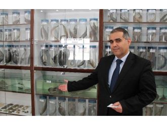 Elazığ’da Balık Müzesi Kuruldu