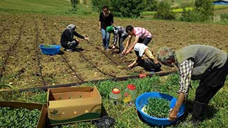 Kadın Çiftçiler Tarımsal Yeniliklerle Buluşuyor