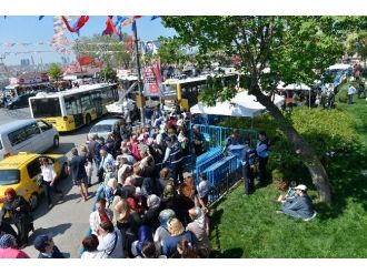 Üsküdar’da Mor Salkım Erguvan Ve Mimoza Şenliği