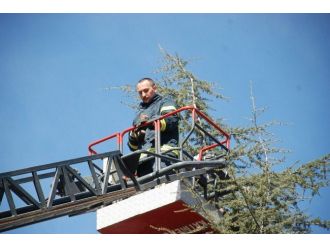 Tokat’ta Kedi Kurtarma Operasyonu
