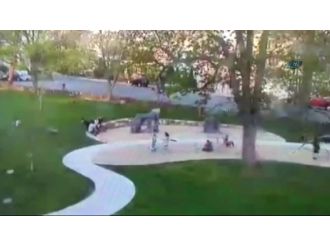 Bir Kare Sonra Ağaç Üzerlerine Devrilecek