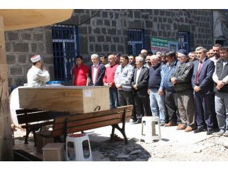 Abd’de Trafik Kazasında Hayatını Kaybeden Aytekin Harşit Memleketi Giresun’da Toprağa Verildi