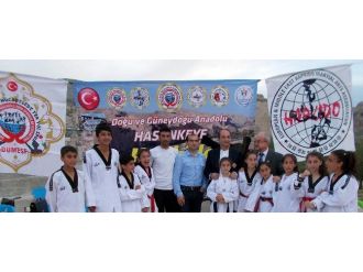Hasankeyf’te Hapkido Şampiyonası