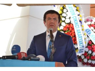 Patates Konusunda Spekülasyonlar Var