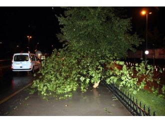 Yalova’da Fırtına Ve Sağanak Yağış