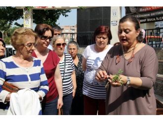 İzmir’de Balkon Tarımı Dönemi