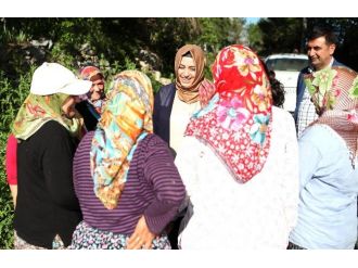 Ak Parti’li Sena Nur Çelik’ten ’İstikrar’ Açıklaması