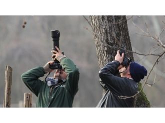 Karacabey Longoz Ormanlarında Fotoğraf Kampı
