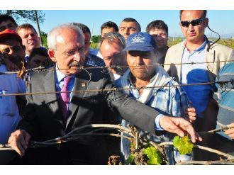 ’’Donan Üzüm Bağlarını’’ İnceledi