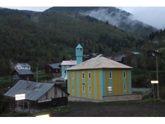 Kastamonu’da Kuş Gribi Vakası