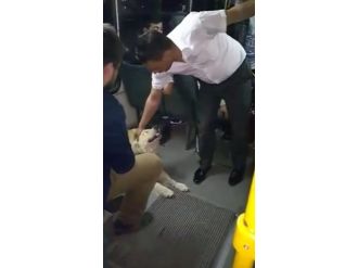 Köpeğin Otobüste Yolculuğu Şaşırttı