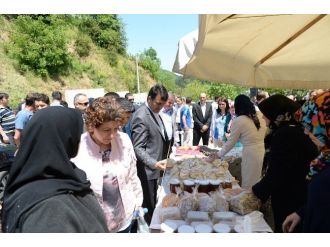 Doğancı Kadınlarıyla Kalkınacak