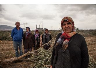 Greenpeace, Kömür Yatırımlarının İptal Edilmesini İstedi