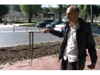 (Özel Haber) Öldürdüğü Yılanla Beşiktaş’ta Tur Attı
