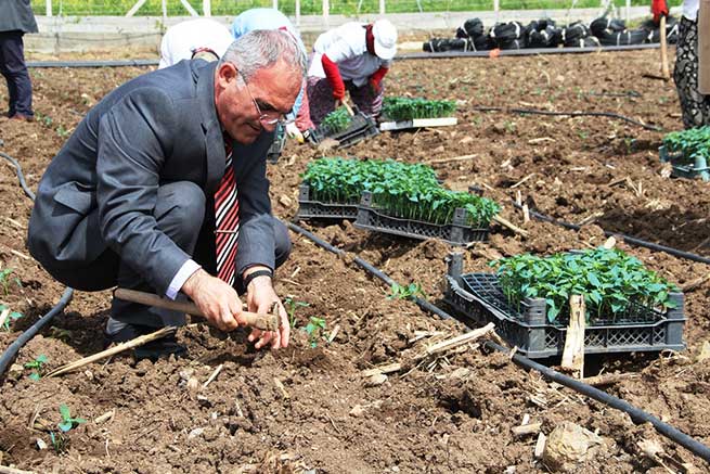 Kahramanmaraş’ta Modern Tarım Teknikleri Yaygınlaşıyor